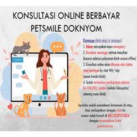 Gambar Terlaris Konsultasi Dokter Hewan Anjing, Kucing, Hewan Eksotik dari jejen_sport undefined 1 Tokopedia