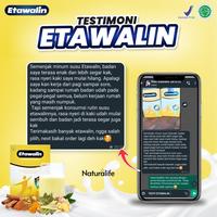 Gambar TERBARU/ PAKET 2 BOX ETAWALIN - Susu Kambing Etawa Bantu Atasi Masalah dari Bellvania Moon undefined 4 Tokopedia