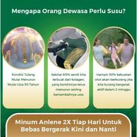 Gambar TERBARU/ Anlene Gold 5X Susu Bubuk Dewasa RASA COKLAT 240g - Nutrisi dari Bellvania Moon undefined 1 Tokopedia
