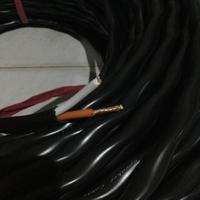Gambar Eceran @1M!! Canare 2S11F - Kabel Speaker 2X4 Terlaris|Best Seller dari Toko Ryan Rompies undefined 1 Tokopedia