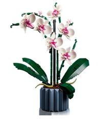 Gambar Lego Creator 10311 Orchid Botanical Collection Expert Elegant Display Bisa Instan dari dante113 undefined 3 Tokopedia