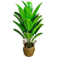 Gambar TANAMAN ARTIFICIAL DAUN PISANG D24 B8191 DEKORASI RUANGAN KANTOR RUMAH STUDIO CAFE POHON PISANG ARTIFICIAL - PISANG D24 dari vefrt undefined 4 Tokopedia