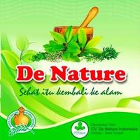 Gambar obat penyakit batu urin kemih batu ginjal kencing batu- infeksi radang saluran kencing isk - kencing sakit tidak lancar manjur alami de nature dari Dwira Fajriah undefined 3 Tokopedia