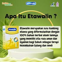 Gambar Susu Etawalin Paket 3 Box 100% Ori Original Asli - Susu Etawa Bubuk Atasi Nyeri Pinggang Sendi Lutut Rematik Asam Urat Aman Alami Halal Bpom Cod dari PTHARUMMAS undefined 3 Tokopedia