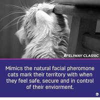 Gambar TERLARIS Feliway Classic Spray Calming Travel Cat Kucing Stress dari TONIstore7 undefined 2 Tokopedia