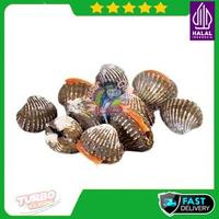 Gambar Kerang Dara Fresh Fast Delivery Laut Segar Frozen - 500 gr dari PUSAT IKAN SEGAR JOGJA undefined 5 Tokopedia
