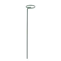 Gambar Plant Stake Wrought Iron Rings Single Stem Shrub Holder Garden Support Stakes Indoor Outdoor Garden Yard Fixing dari Quirky Questssr undefined 2 Tokopedia