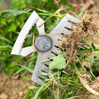 Gambar Garden Weeding Tool Weed Extractor Removal Agricultural Bonsai Tool Supplies Horticulture The Home And Garden Products dari Quirky Questssr undefined 3 Tokopedia