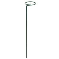 Gambar Plant Stake Wrought Iron Rings Single Stem Shrub Holder Garden Support Stakes Indoor Outdoor Garden Yard Fixing dari Quirky Questssr undefined 3 Tokopedia