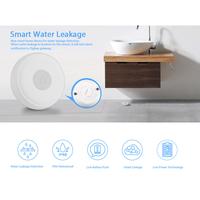 Gambar Ewelink Zigbee Water Sensor Water Detector for Home Remote Alarm Security Soaking Sensor Smart Home dari Elleato undefined 2 Tokopedia