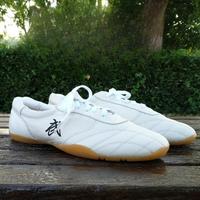 Gambar 2024 Hot Sale Couples Kung Fu Shoes Chinese Martial Arts Shoes Me dari MukjukMart undefined 4 Tokopedia