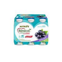Gambar Nutrive Benecol Blackcurrant 100mlx6 dari Total Buah Segar Summarecon Bekasi undefined 1 Tokopedia