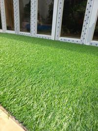 Gambar Miliki Rumput Sintetis 3Cm Taman Outdoor Indoor 1X2 Meter - Lebar 2 Meter dari diajengayuu undefined 5 Tokopedia