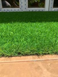 Gambar Miliki Rumput Sintetis 3Cm Taman Outdoor Indoor 1X2 Meter - Lebar 2 Meter dari diajengayuu undefined 4 Tokopedia