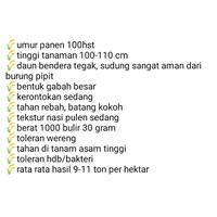 Gambar BENIH PADI BARU CIBATU 06 5KG ORIGINAL dari jaya tani by undefined 4 Tokopedia