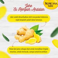 Gambar Mantaap Tropicana Slim Sweetener Jahe (50 Sch) - Pengganti Gula dari Sitinjaki undefined 3 Tokopedia