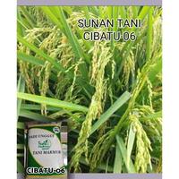Gambar BENIH PADI BARU CIBATU 06 5KG ORIGINAL dari jaya tani by undefined 3 Tokopedia