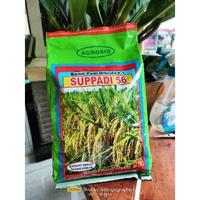 Gambar benih padi supadi 56 hibrida - suppadi dari jaya tani by undefined 5 Tokopedia