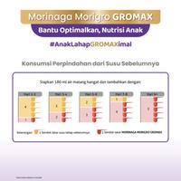 Gambar DMS - 305 MORIGRO GROMAX VANILA MADU 800GR | MORINAGA MORIGRO 800 GR dari Dhimasadry undefined 5 Tokopedia
