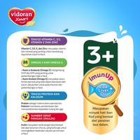 Gambar DMS - 790 VIDORAN XMART 3+ IMUN UP SUSU FORMULA MADU [700 G/2 PCS] dari Dhimasadry undefined 3 Tokopedia