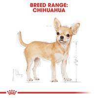 Gambar Royal Canin Chihuahua Adult Makanan Anjing Dewasa Wet 3x85gr dari Royal Canin Indonesia undefined 3 Tokopedia