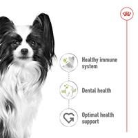 Gambar Royal Canin Xsmall Adult Makanan Anjing Dewasa Dry 1,5kg dari Royal Canin Indonesia undefined 4 Tokopedia