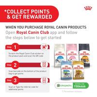 Gambar Royal Canin British Shorthair Kitten (0.4kg) Dry Makanan Anak Kucing - Feline Breed Nutrition dari Royal Canin Indonesia undefined 2 Tokopedia