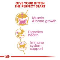 Gambar Royal Canin British Shorthair Kitten (2kg) Dry Makanan Anak Kucing - Feline Breed Nutrition dari Royal Canin Indonesia undefined 5 Tokopedia