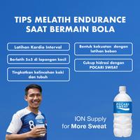 Gambar FOR SALE POCARI SWEAT 900 ml Karton Isi 15 dari cakrastart undefined 3 Tokopedia