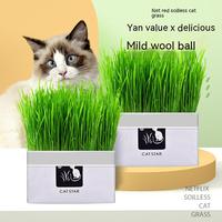 Gambar Crab Catnip Balls Spinning Balls Teeth Cleaning Happy Interactive Cat Toy Balls Catnip Toys Pet Supplies dari nopek market52 undefined 2 Tokopedia