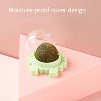 Gambar Crab Catnip Balls Spinning Balls Teeth Cleaning Happy Interactive Cat Toy Balls Catnip Toys Pet Supplies dari nopek market52 undefined 4 Tokopedia