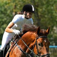 Gambar Equestrian Headgear Protective Horse Riding Headgear Adjustable Breathable Safety Hats For Equestrian Riders For Riding dari kikinroziki 8 undefined 4 Tokopedia
