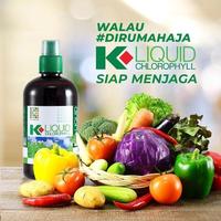 Gambar KLOROFIL K LIQUID CHLOROPHYLL CLOROPIL ASLI 500 ML SARI DAUN ALFALFA dari K-LINK OLSHOP undefined 4 Tokopedia