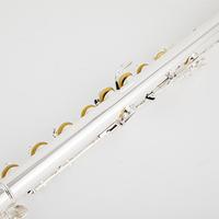 Gambar Pearl Flute PFA-201U Alto Flute G Tune 16 Closed Hole Keys Sliver Plated Professional Musical Instrument with case dari Jonathan Chatto undefined 5 Tokopedia