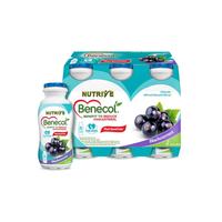 Gambar Nutrive Benecol Blackcurrant 6x100mL dari toko_werla undefined 3 Tokopedia