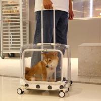 Gambar Outdoor Travel Cat Carriers Clear Trolley Strollers Stroller Space dari Livie Market undefined 3 Tokopedia