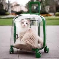 Gambar Outdoor Travel Cat Carriers Clear Trolley Strollers Stroller Space dari Livie Market undefined 1 Tokopedia