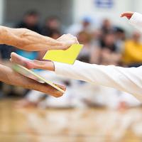 Gambar Advanced Rebreakab Boards Martial Arts Reusab Taekwondo Breaking dari Saanti Shop undefined 3 Tokopedia
