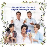 Gambar PROMO BARU ENTRASOL PLATINUM VANILLA 800 G dari lulamol undefined 3 Tokopedia