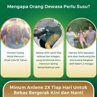Gambar PROMO READY STOCK READY!! Anlene Gold 5X Susu Bubuk Vanila 5 x 170g-Tulang, dari lulamol undefined 2 Tokopedia