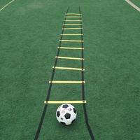 Gambar 6M/8M Agility Ladder Speed Lader Tangga Kelincahan Ketangkasan Latihan Sepak Bola Fustal Football dari Zed AG store undefined 1 Tokopedia