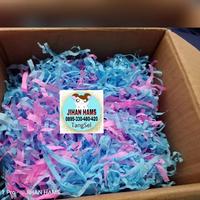 Gambar RUNE bedding tissue / alas kandang hamster BUBBLE GUM dari Praditya-Rahman232 undefined 1 Tokopedia