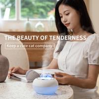 Gambar Humidifier Mini Air Conditioner For Home Evaporator Room Fragrance Vaporizer Aromatherapy Humidifiers Diffusers Sleep Level Mute dari RAYAKA diryata undefined 4 Tokopedia