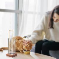 Gambar Reusable Incense Burner Easy to Clean Incense Holder Fireproof Meditation Room Censer Holder  Purify Air dari DeanWelch undefined 4 Tokopedia