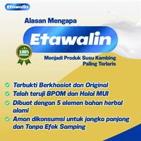 Gambar Susu Kambing Etawalin 2 Box BPOM - Cegah Asam Urat, Rematik, Nyeri Sendi, Pegal Linu Tanpa Obat & Kesehatan Tubuh Original dari bangunjayabersama undefined 3 Tokopedia