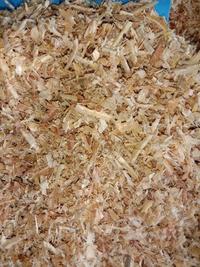 Gambar RUNE serbuk kayu hamster hamster kelinci / bedding - 1bal dari Praditya-Rahman232 undefined 4 Tokopedia