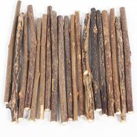 Gambar Pet Cat Natural Wooden Matatabi Stick Lafite Grass Toys Cat Catnip Molar Stick For Cleaning Tooth Silvervine Pet Toys Supplies dari ANAK HAYAMM43 undefined 5 Tokopedia