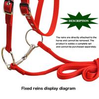 Gambar Horse Rein Headstall 20 Mm PP Webbing Thickened Halter Removable Equestrian Gear For Outdoor Training Riding LT5000 Dropshipping dari Winged Nightmare undefined 2 Tokopedia