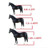 Gambar Horse Rein Harness Headstalls Removable Snaffle 20 Mm PP Webbing Equestrian Gear For Outdoor Riding Training LT5000 dari Winged Nightmare undefined 5 Tokopedia