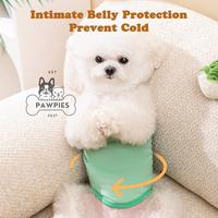 Gambar Penutup Celana Manner Belt Sabuk Popok Anjing Kucing Jantan Pampers Lucu Dog Cat Pet Anti Marking Humping Belly Protection Band Velcro Adjustable Washable - Dino, M dari CV GISHLELA JAYA undefined 2 Tokopedia